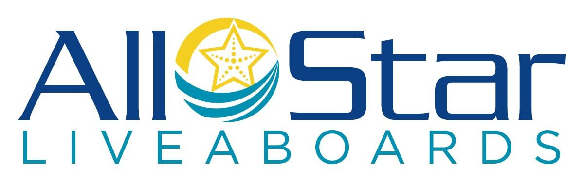 All Star Liveaboard